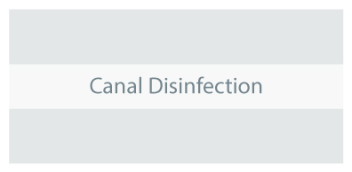 Canal_Disinfection.jpg